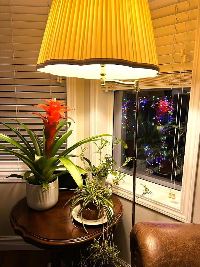 Lovely Comfy Home Private Bath In Central YYC المظهر الخارجي الصورة
